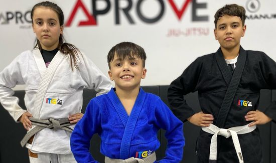 12 mentiras sobre jiu-jitsu que todo iniciante precisa saber